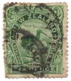 New Zealand, 1898 (6d, kiwi)