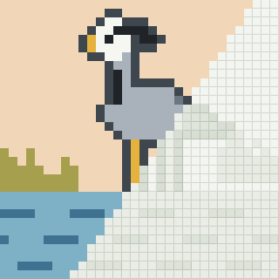 Grey heron, partly coloured
