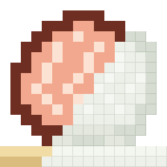 Scallop shell, partly coloured